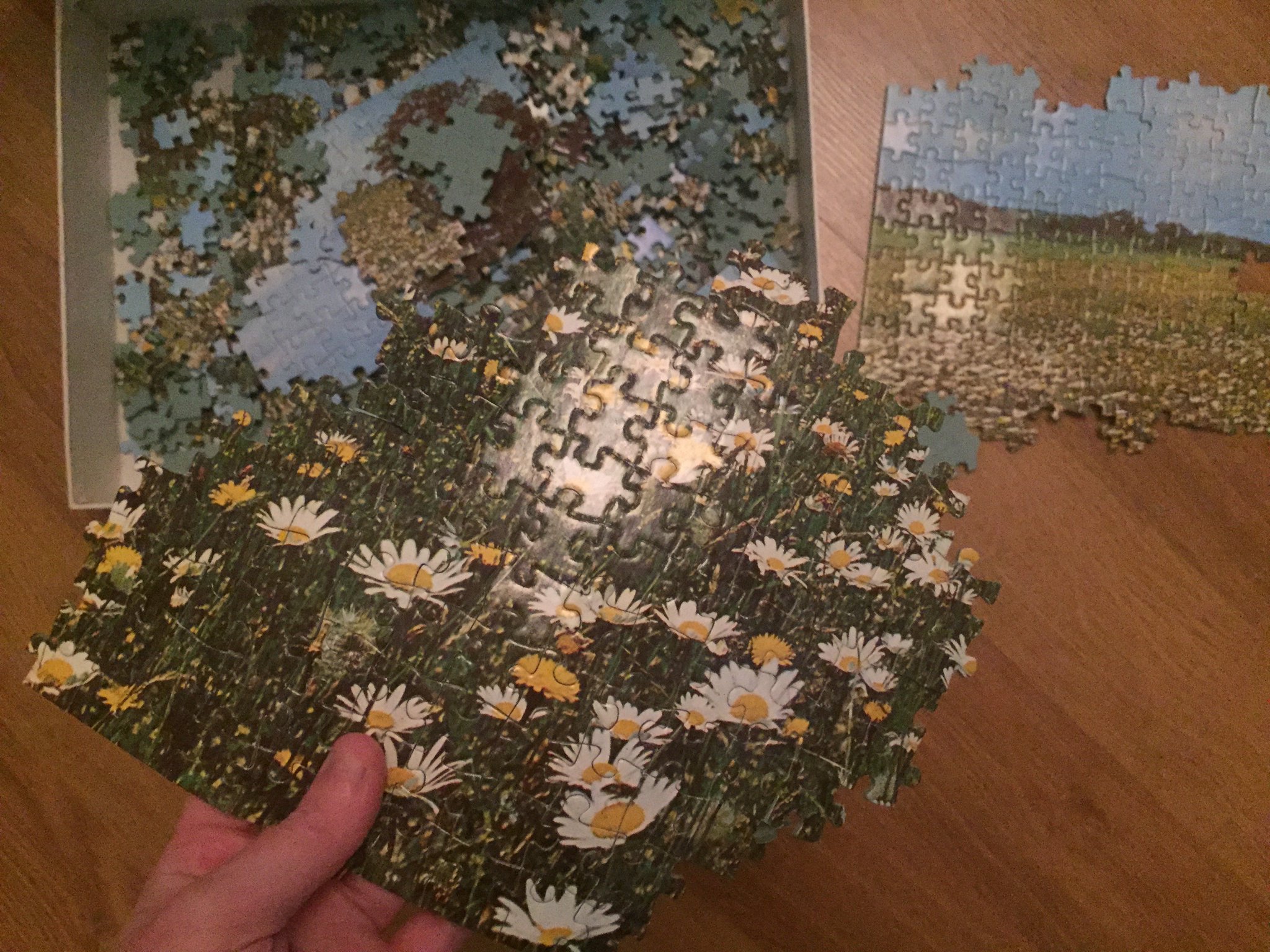 J'ai d'ailleurs fait le puzzle aux marguerites de la cave, certains morceaux étaient déjà prêts dans la boîte https://t.co/UJ1ppiXjAo